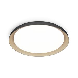 Philips Philips - LED Stmívatelné stropní svítidlo PEBBLO LED/10W/230V 4000K černá