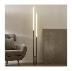 Eglo Eglo 33323 - LED RGBW Stmívatelná stojací lampa FRAIOLI-C 2xLED/17W/230V