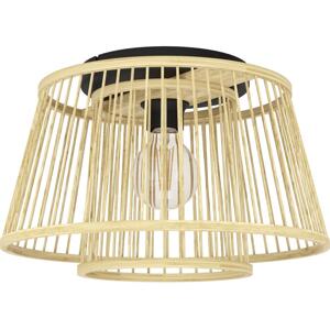 Eglo Eglo 43851 - Stropní svítidlo HYKEHAM 1xE27/40W/230V