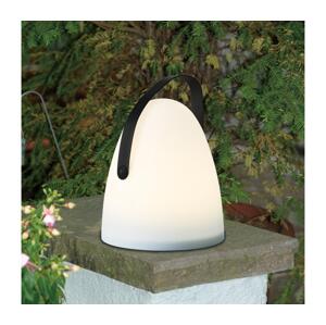Eglo Eglo 48841 - LED Venkovní stolní lampa COLLIRADOS LED/3xAA IP44