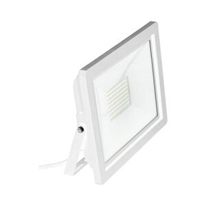 Eglo Eglo 64842 - LED Reflektor FILETTI LED/30W/230V 3000K IP65 bílá