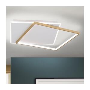 Orion Orion DL 7-692- LED Stmívatelné stropní svítidlo EMANUEL LED/50W/230V bílá/zlatá