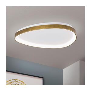 Orion Orion DL 7-696/65 - LED Stropní svítidlo CHARLIE LED/48W/230V pr. 65 cm zlatá