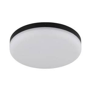 Globo Globo 12387-18 - LED Stropní svítidlo MATTHEW LED/12W/230V