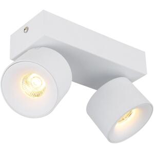 Globo Globo 56961-2W - LED Bodové svítidlo RAE 2xLED/6W/230V bílá