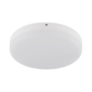 Globo Globo 12387-18W - LED Stropní svítidlo MATTHEW LED/12W/230V bílá