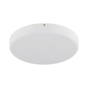 Globo Globo 12387-24W - LED Stropní svítidlo MATTHEW LED/18W/230V bílá