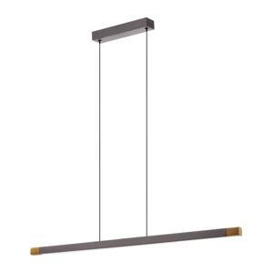Eglo Eglo 900174 - LED Stmívatelný lustr na lanku LISCIANA LED/18W/230V 3000K
