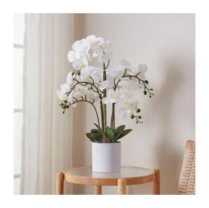 Eglo Eglo 428024 - Umělá rostlina HYUGA 65x50 cm orchidej