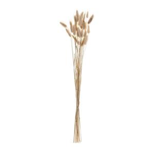 Eglo Eglo 428039 - Sušená květina GUIPOS 60 cm béžová