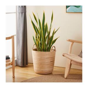 Eglo Eglo 426513 - Dekorační koš NARAHA 41x36 cm béžová