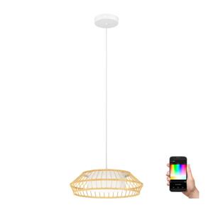 Eglo Eglo 900842 - LED RGBW Stmívatelný lustr na lanku YUKU-Z LED/22W/230V