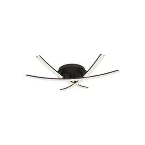 LED Stropní svítidlo LED/20W/230V 3000K černá