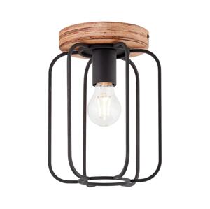 Brilliant - Stropní svítidlo TOSH 1xE27/40W/230V topol 99500/66