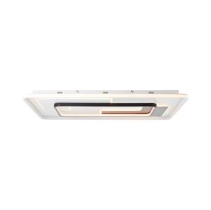 Brilliant Brilliant - LED Stmívatelné stropní svítidlo BARDEN LED/57W/230V 3000-6800K + DO