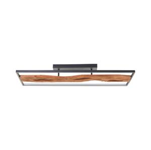 Brilliant Brilliant - LED Stmívatelné stropní svítidlo CHAUMONT LED/48W/230V - FSC