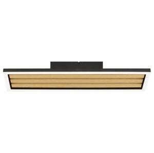 Brilliant - LED Stmívatelné stropní svítidlo CALMA LED/15W/230V černá G81192/76