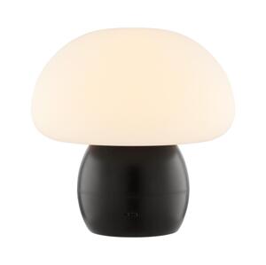 Brilliant - LED Stmívatelná nabíjecí stolní lampa DUPIS LED/2W/5V 2700K černá G60230/76