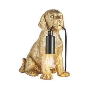 Endon Endon 107364 - Stolní lampa PUPPY 1xE14/7W/230V zlatá