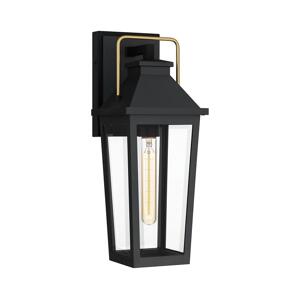 Elstead Quoizel QZ-BUCKLEY-M-MBK -Venkovní nástěnné svítidlo BUCKLEY 1xE27/40W/230V IP44