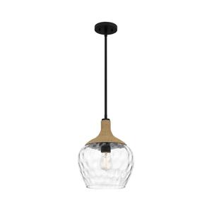 Elstead Quoizel QZ-ROYER-1P-MBK - Lustr na tyči ROYER 1xE27/60W/230V pr. 30,2 cm