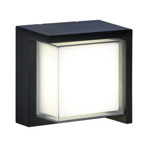 LED Venkovní nástěnné svítidlo ESSEN LED/12W/230V IP44 černá