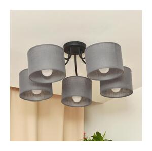 Přisazený lustr ALBA 5xE27/15W/230V šedá