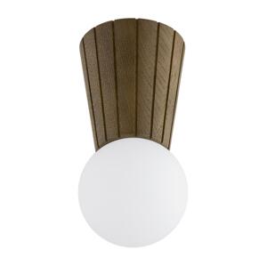 Argon 8974 - Koupeln stropní svítidlo VOLANTE 1xG9/6W/230V IP44 pr. 12 cm hnědá 8974