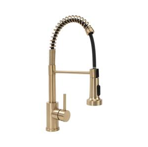 REA-B4821 - Dřezová baterie s vytahovací sprškou COLIN 42,5 cm broušená zlatá REA-B4821