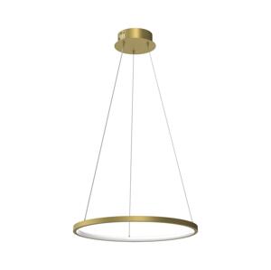 LED Lustr na lanku HOOP LED/27W/230V pr. 50 cm 4000K zlatá
