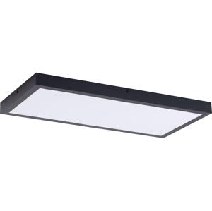 LED Panel LED/36W/230V 4000K 30x60 cm černá
