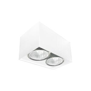 - Brosline 1077 - Bodové svítidlo CAGE 2xGU10/10W/230V bílá 1077