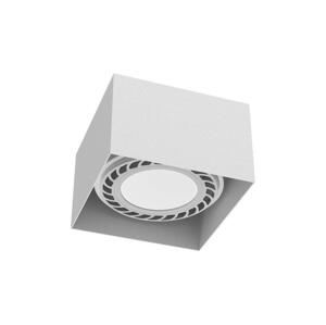 - Brosline 1268 - Bodové svítidlo CAGE 1xGU10/18W/230V bílá 1268