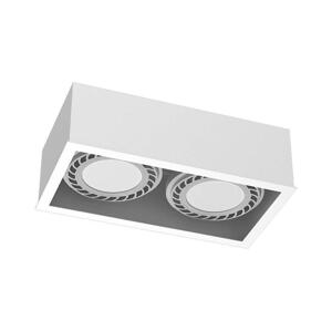 - Brosline 1274 - Bodové svítidlo CAGE 2xGU10/18W/230V bílá 1274