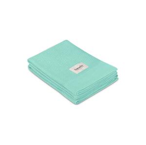 Lionelo Lionelo - Bambusová deka BAMBOO BLANKET 75x100 cm Green Mint