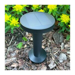 Zuma Line Zuma Line DT33611 - LED Solární lampa CARLI LED/2W/2000 mAh IP44 černá