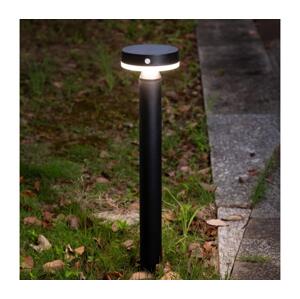 Zuma Line Zuma Line PT33613 - LED Solární lampa CARLI LED/4,5W/2000 mAh IP44 černá