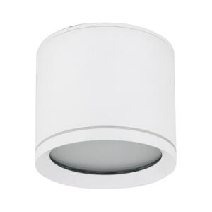 Bodové svítidlo VIVO 1xGX53/10W/230V 10 cm bílá