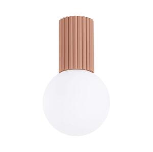 SL.1733 - Koupelnové stropní svítidlo HALO 1xG9/8W/230V IP44 hnědá
