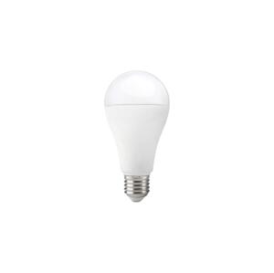 LED Žárovka GS E27/17W/230V 6500K 004297