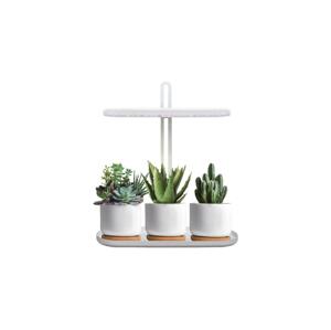 LED Stmívatelná stolní lampa pro pěstování rostlin VERDI LED/12W/230V 4500K 004319
