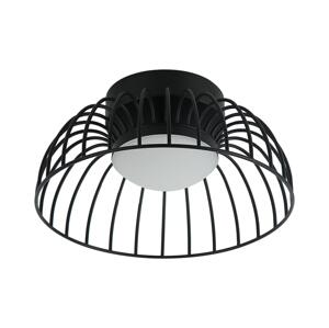 LED Stropní svítidlo BETSY LED/12W/230V pr. 25 cm černá