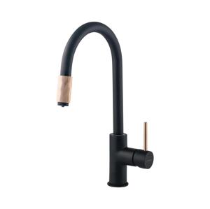 Deante BCA_B64M - Dřezová baterie ASTER černá/mosaz BCA_B64M