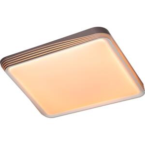 Rabalux Rabalux 71166 - LED Stropní svítidlo DRUZOR LED/40W/230V 3000K