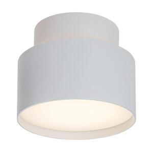 Rabalux Rabalux 71324 - LED Stropní svítidlo OVIDIA LED/16W/230V 3000K bílá