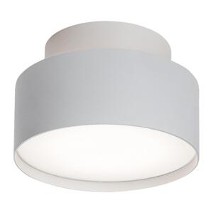 Rabalux Rabalux 71325 - LED Stropní svítidlo OVIDIA LED/24W/230V 3000K bílá