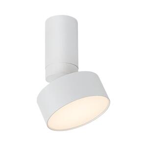 Rabalux Rabalux 71326 - LED Stropní svítidlo OVIDIA LED/10W/230V 3000K bílá
