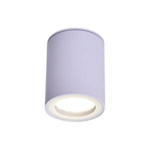 Rabalux Rabalux 71343 - Stropní svítidlo KOVEN 1xGU10/35W/230V bílá