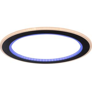 Rabalux Rabalux 71406 - LED Stm. stropní svítidlo GOLWEN LED/22W/230V 3000-6500K + DO