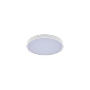 Rabalux Rabalux 71425 - LED Koupelnové stropní svítidlo ALENZO LED/12W/230V IP44 bílá